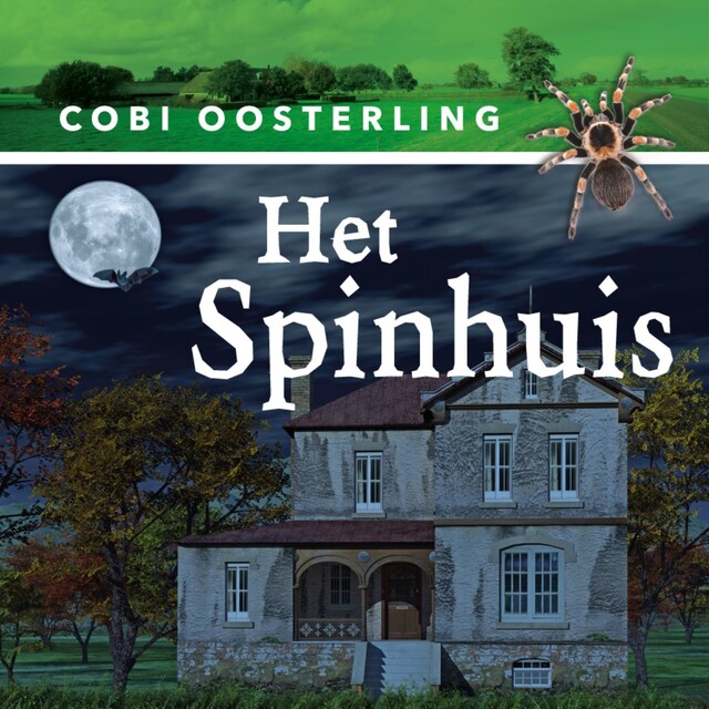 Book cover for Het spinhuis