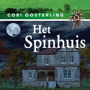 Het spinhuis - luisterboek
