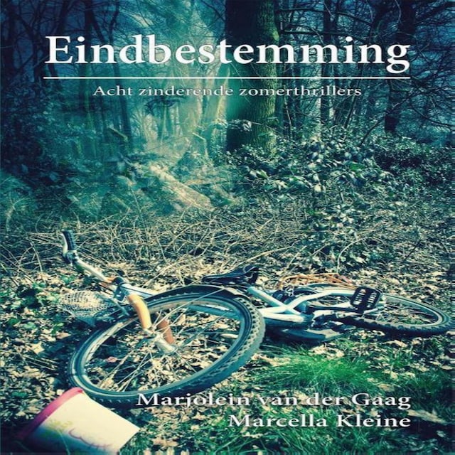 Book cover for Eindbestemming