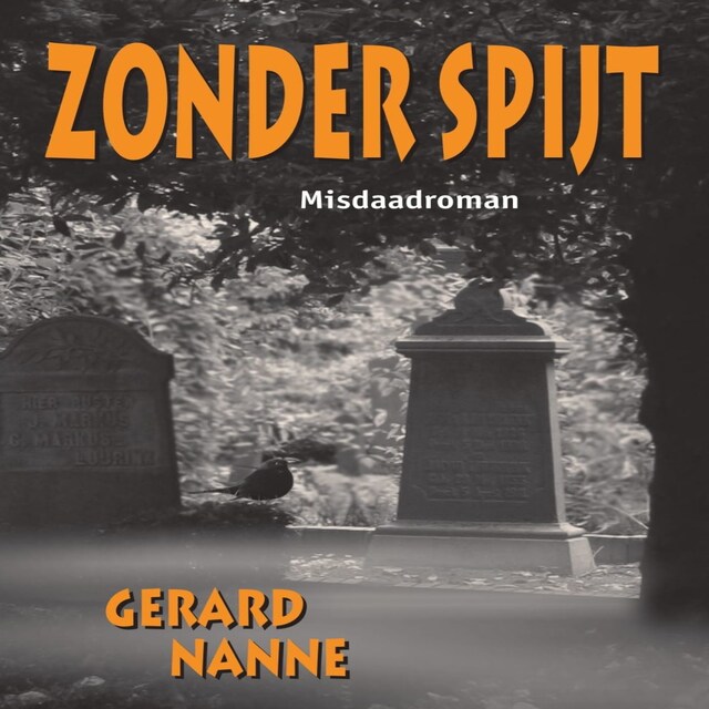 Book cover for Zonder spijt