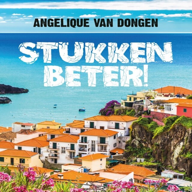 Book cover for Stukken Beter!