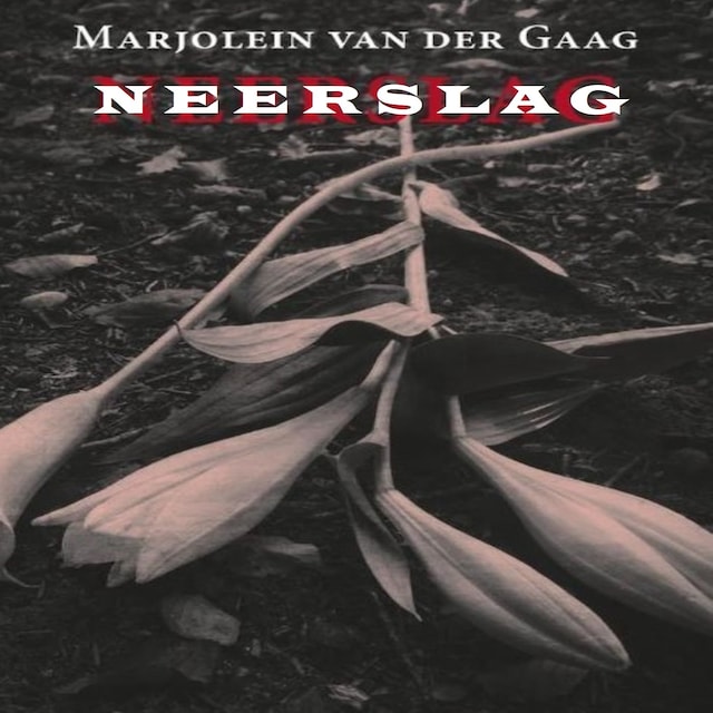 Book cover for Neerslag