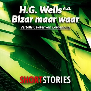 Bizar maar waar - luisterboek