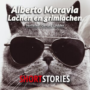 Lachen en grimlachen - luisterboek