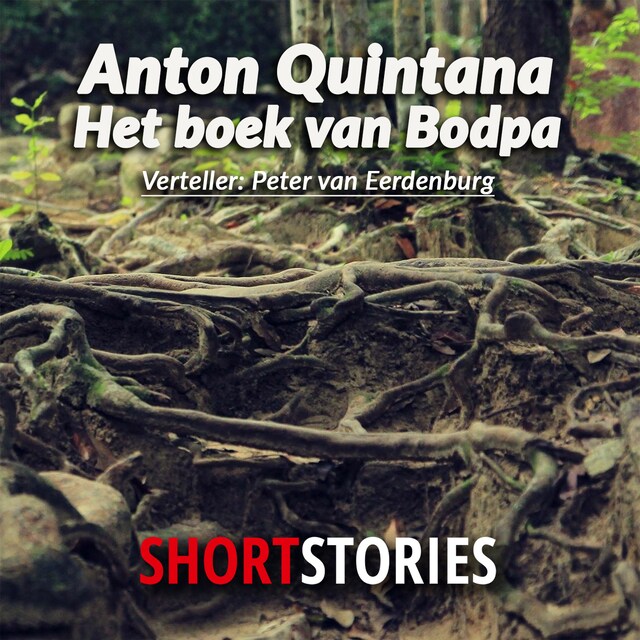 Okładka książki dla Het boek van Bodpa