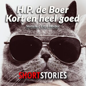 Kort en heel goed - luisterboek