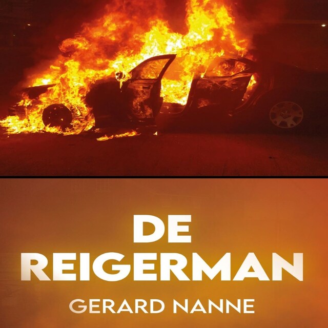 Book cover for De reigerman