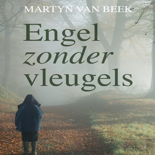 Book cover for Engel zonder vleugels