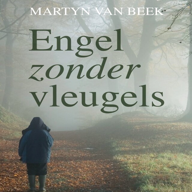 Book cover for Engel zonder vleugels