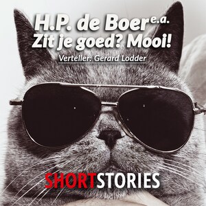 Zit je goed? Mooi! - luisterboek