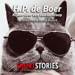 Kijken door een kaleidoscoop - luisterboek