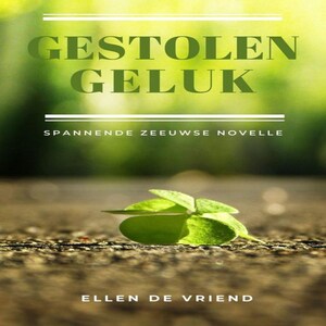 Gestolen geluk - luisterboek