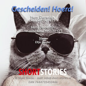 Gescheiden! Hoera! - luisterboek