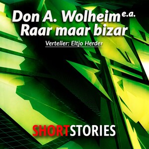 Raar... maar bizar - luisterboek