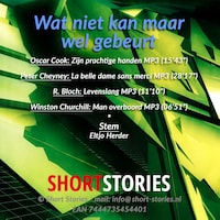 Wat niet kan maar wel gebeurt