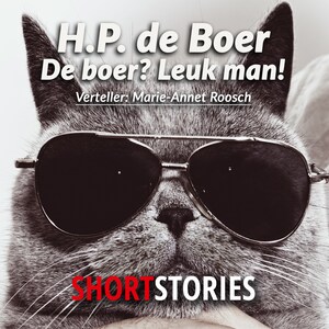 De Boer? Leuk man! - luisterboek