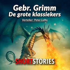 Sprookjes van de Gebroeders Grimm - luisterboek