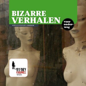 Bizarre verhalen - luisterboek