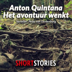 Het avontuur wenkt - luisterboek