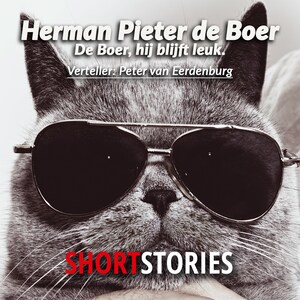 De Boer, hij blijft leuk - luisterboek