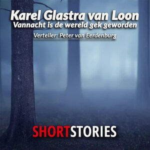Vannacht is de wereld gek geworden - luisterboek