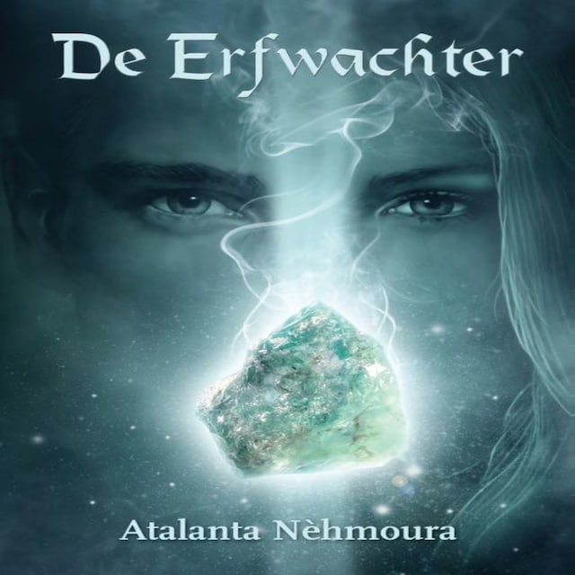 Couverture de livre pour De erfwachter