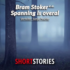 Spanning is overal - luisterboek