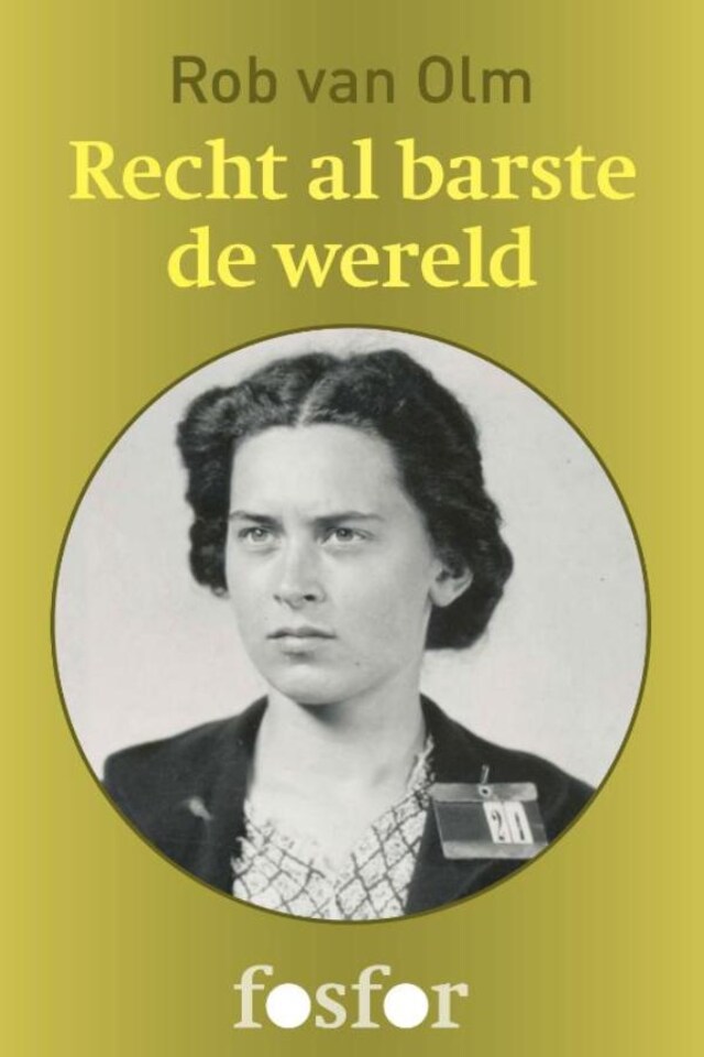 Book cover for Recht al barste de wereld