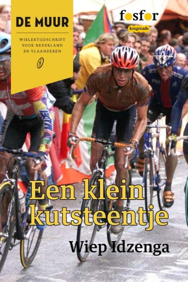 Book cover for Een klein kutsteentje