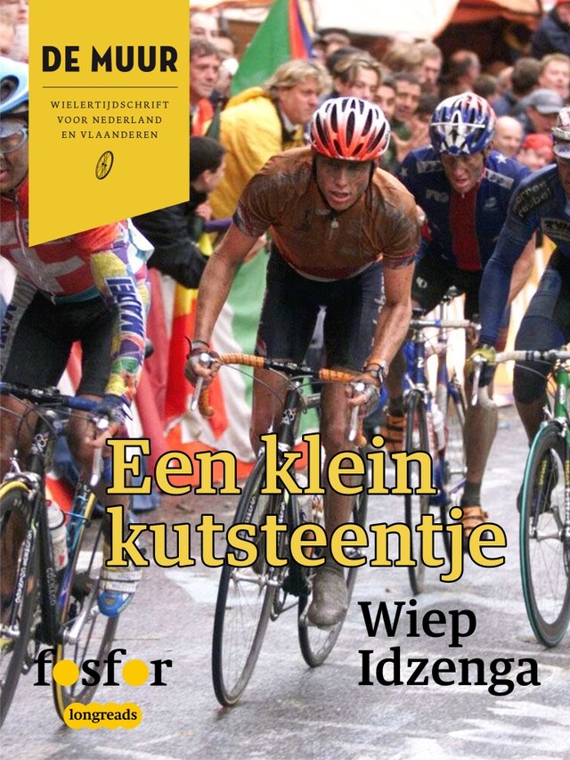 Book cover for Een klein kutsteentje