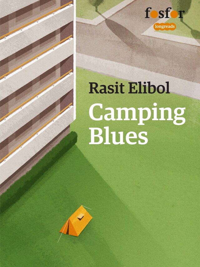 Boekomslag van Camping Blues