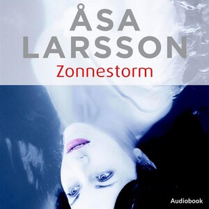 Zonnestorm - luisterboek