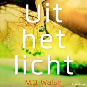 Uit het licht - luisterboek