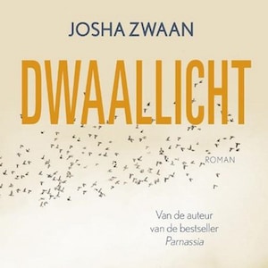 Dwaallicht - luisterboek