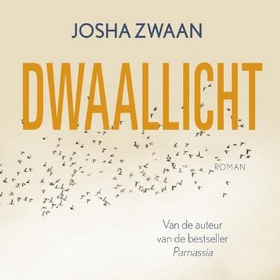 Dwaallicht - luisterboek