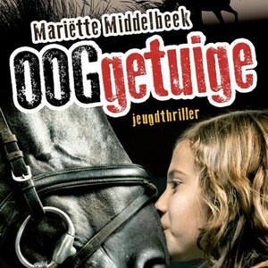 Ooggetuige - luisterboek