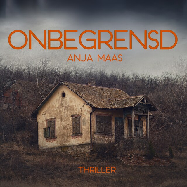 Book cover for Onbegrensd