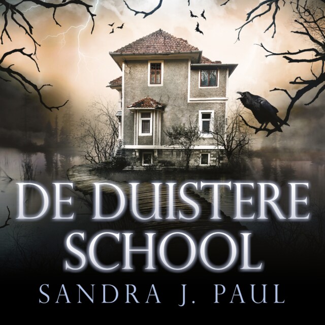 Book cover for De Duistere School