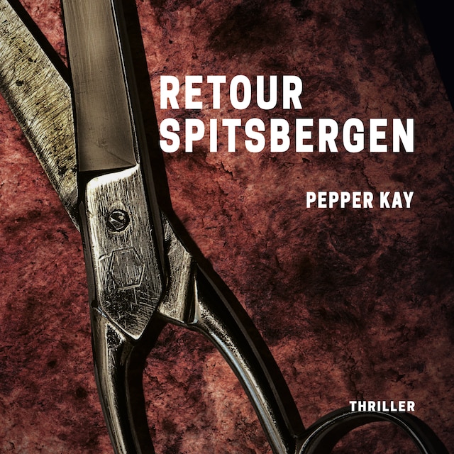 Book cover for Retour Spitsbergen