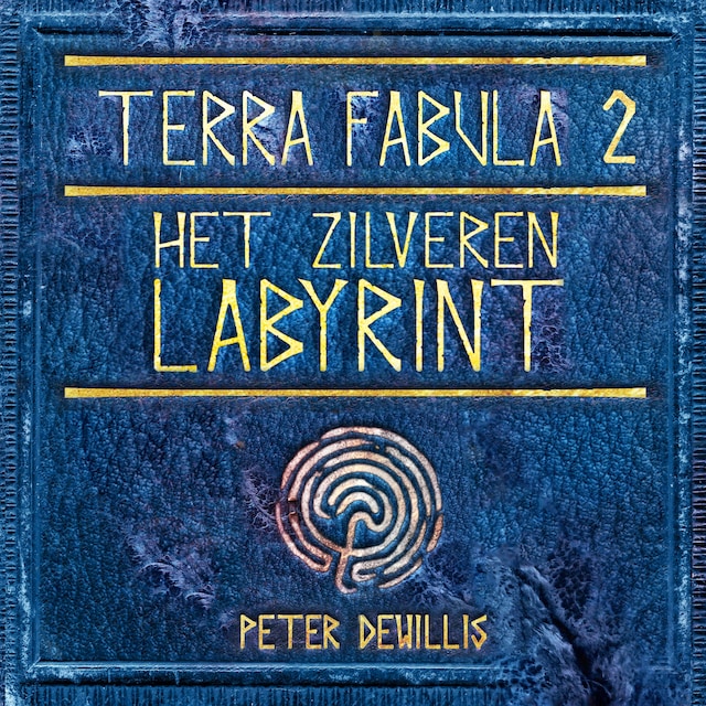 Book cover for Het zilveren labyrint