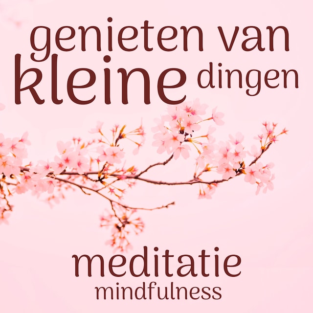 Boekomslag van Genieten van de Kleine Dingen Meditatie