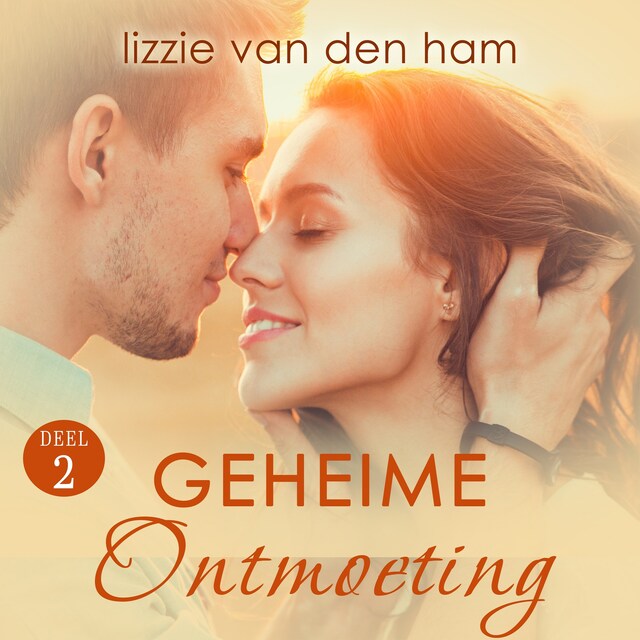Book cover for Geheime ontmoeting