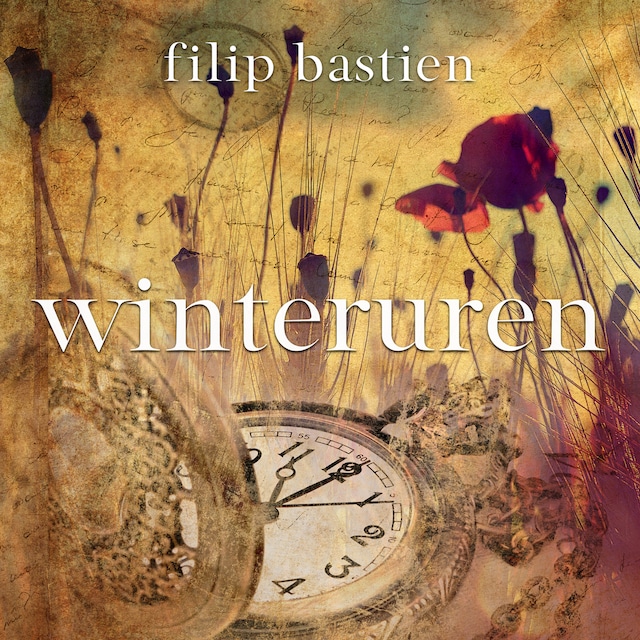 Book cover for Winteruren