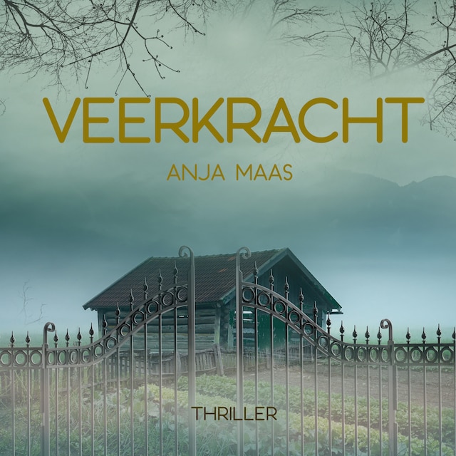 Couverture de livre pour Veerkracht