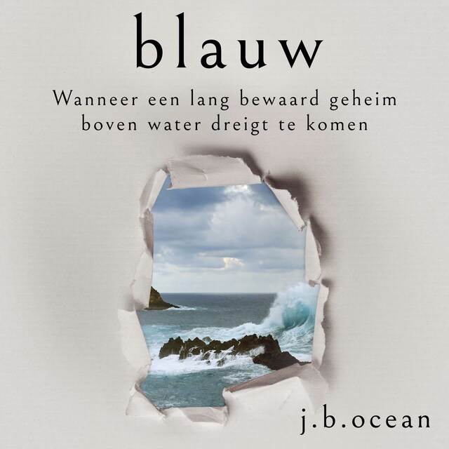 Book cover for Blauw