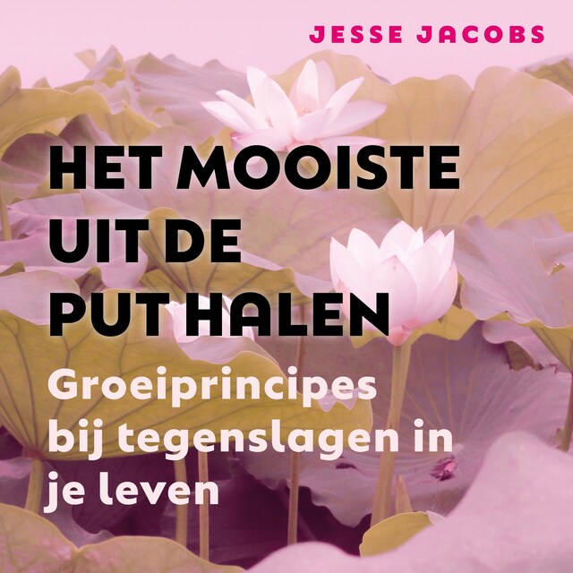 Buchcover für Het Mooiste Uit de Put Halen