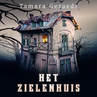 Het Zielenhuis