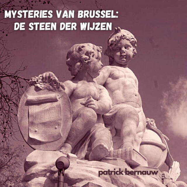 Boekomslag van Mysteries van Brussel: De Steen der Wijzen