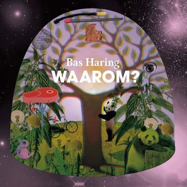 Book cover for Waarom?