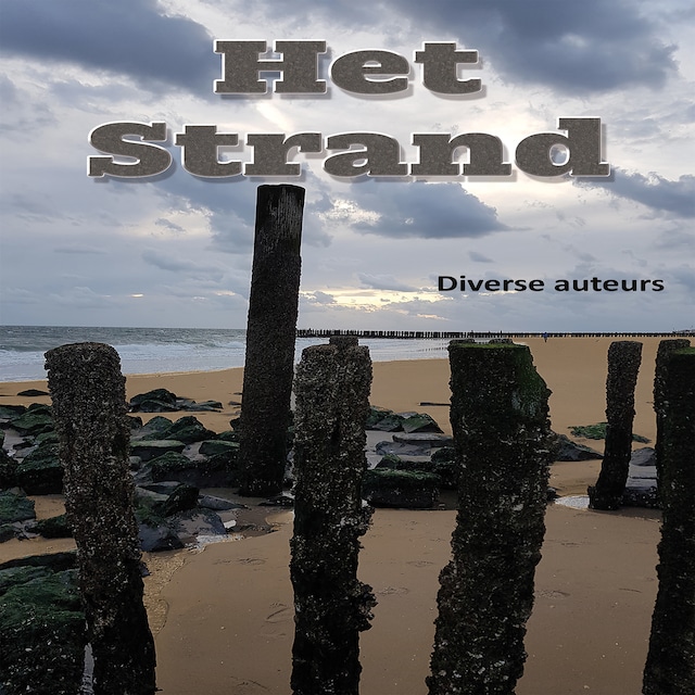 Book cover for Het strand